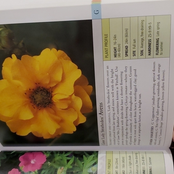 DK Garden guide Perennials 2003 paperback by Richard Rosenfeld 320 pages - Picture 8 of 8